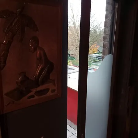 Cuba Zen Actitud Mouscron