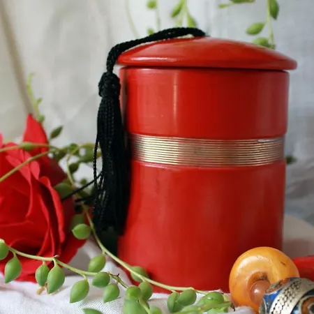 アパート Cuba Zen Actitud